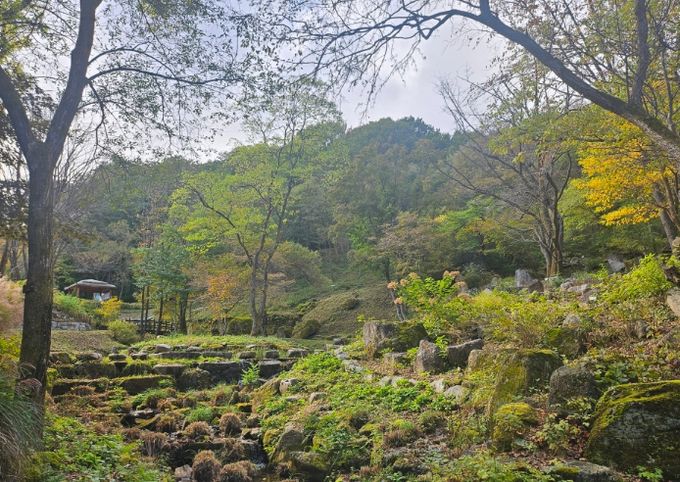 금원산