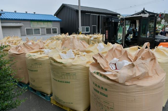지난해 공공비축미곡 매입 당시 사진