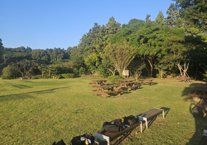 안덕초등학교 학교숲