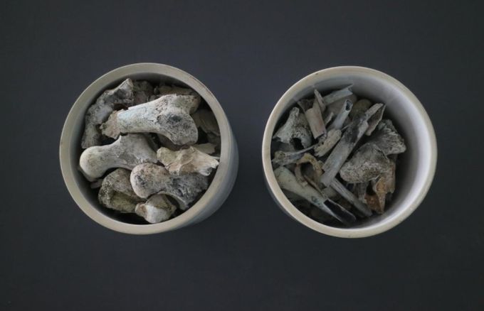 2005년 3월 경상북도 포항시 북구 흥해읍 도음산 정상에서 발굴한 국군 제8사단 10연대 소속의 고(故) 양이한 일병의 유해