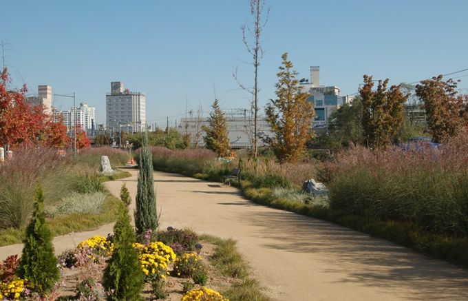 청주시 오송물결정원, 주민 손길 더해 가을정원으로 변신
