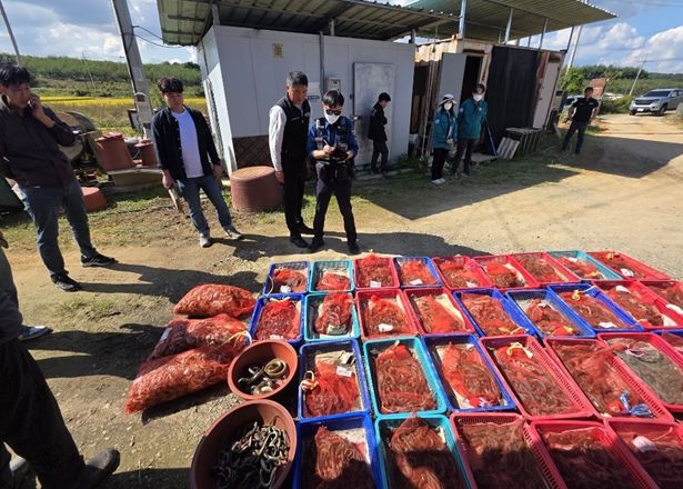 야생동물 밀렵·밀거래 적발