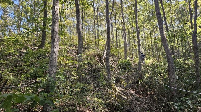 진안군, 2025년 숲가꾸기 완료