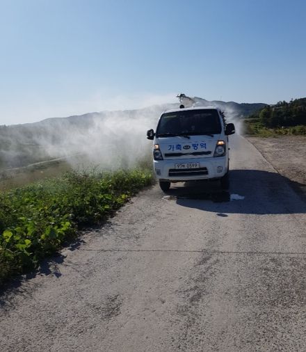 고령군, 조류인플루엔자(AI) 차단방역 총력