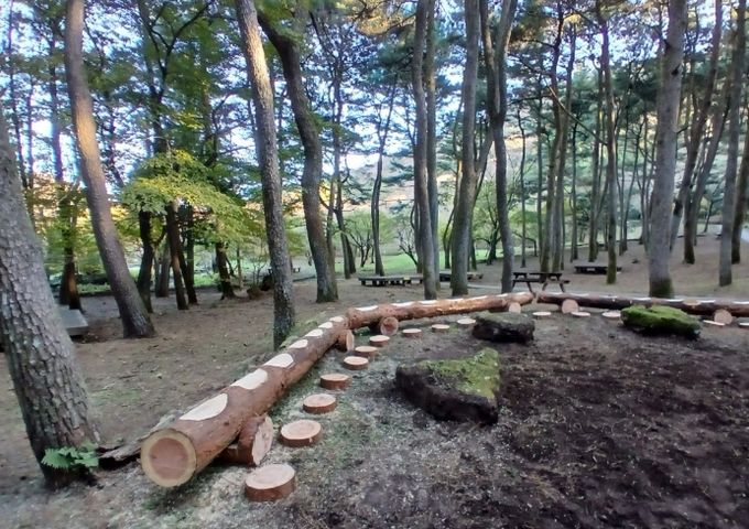 간벌목 활용 자연형 수로·휴식공간