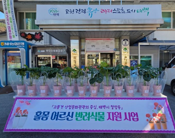 반려식물 지원사업 사진전시회