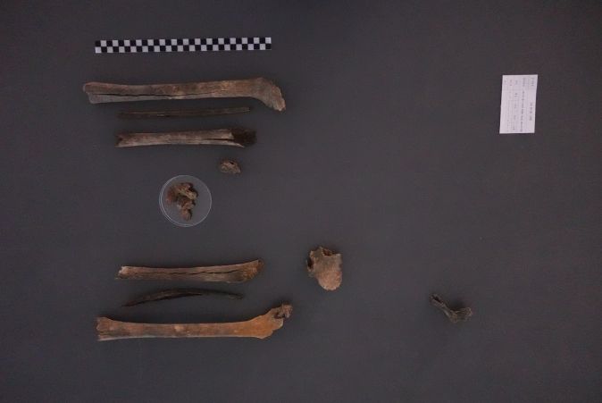 2024년 11월 대구광역시 군위군에서 발굴된 고(故) 구자길 일병의 유해