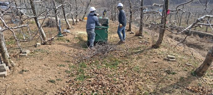 영농부산물 파쇄단이 영농부산물 파쇄 작업을 하고 있다