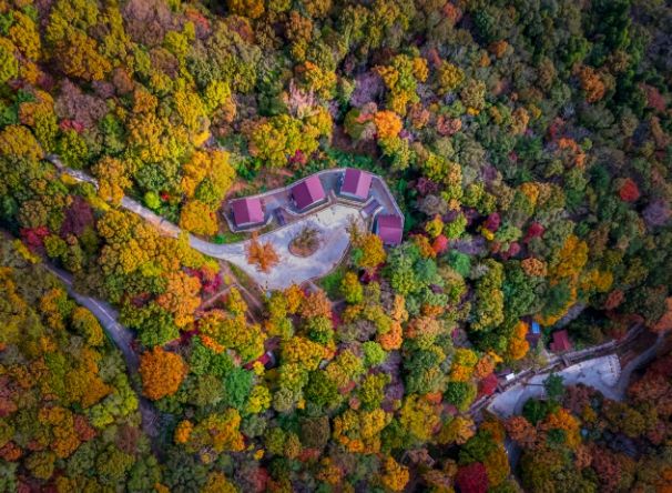 거제자연휴양림 전경