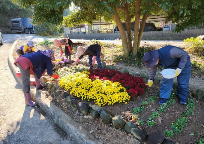 고흥군, 불법투기 지역 ‘한평정원’으로 새롭게 태어나다