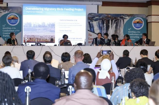 7월 람사르협약 당사국총회(COP15)에 습지보전 우수사례 도시로 초청돼 ‘드론 활용 철새 먹이주기 사업’을 발표한 고양시