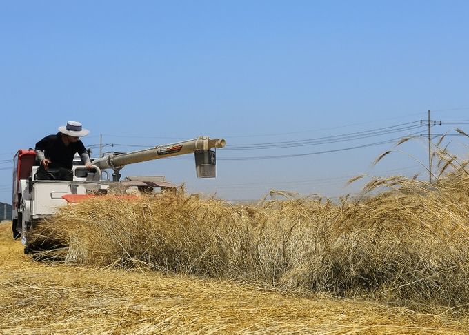 이천시농업기술센터, 2025년 농업기술보급혁신 우수사례 경진대회 ‘우수상’ 수상
