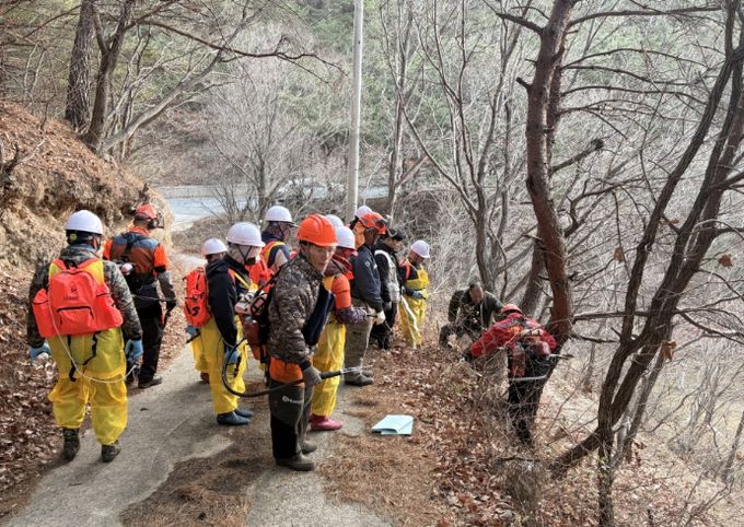 울진군, 소나무재선충병 확산 차단 총력