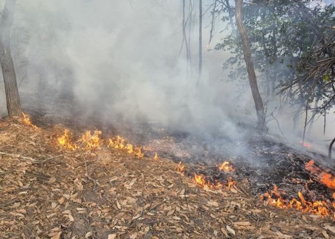 고성군 금남면 대치리 산불(2026년 1월 20일)