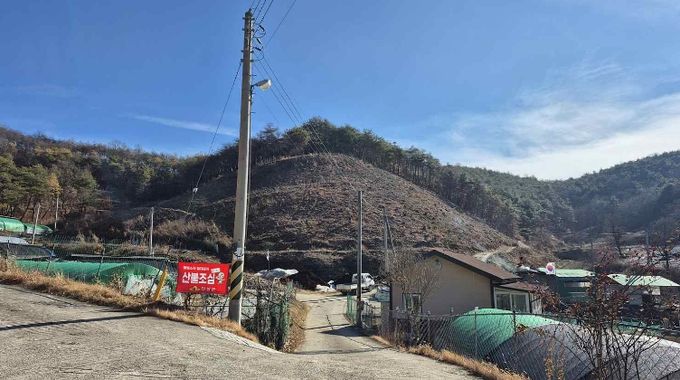 산불피해목 벌채사업