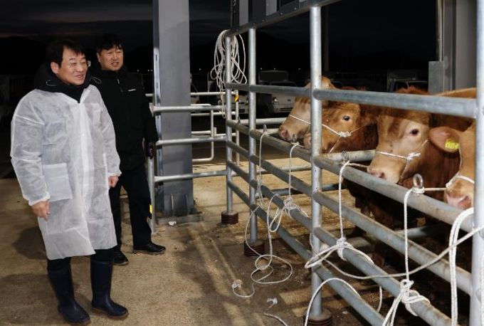 설 명절을 앞두고 강진 가축시장을 방문해 한우 농가를 격려하고 의견을 청취하고 있다.