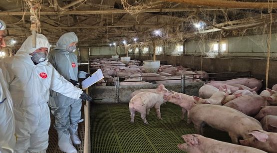 울산보건환경연구원 심민령 원장이 아프리카돼지열병 발생 예방을 위해 돼지 농가를 직접 방문해 방역 실태를 점검하고 있다